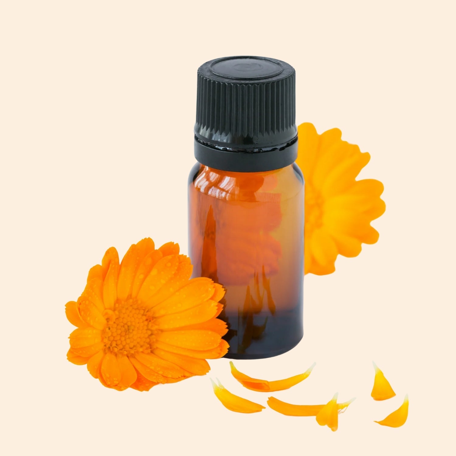 Calendula Hydrosol Calendula Hydrosol